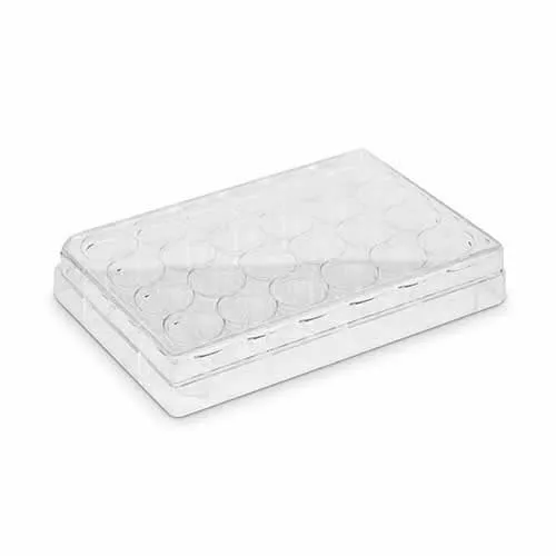 Placa Para Cultivo De Células 24 Poços Fundo Chato
