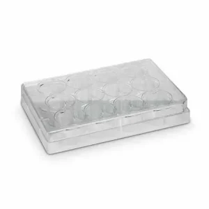 Placa Para Cultivo De Células 12 Poços Fundo Chato