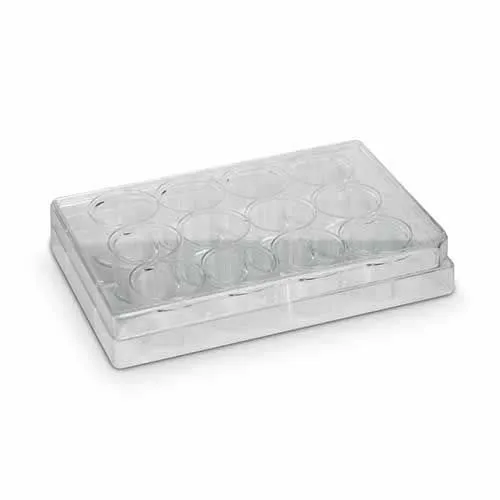 Placa Para Cultivo De Células 12 Poços Fundo Chato