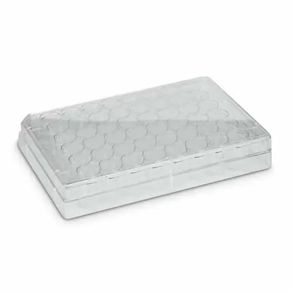 Placa Para Cultivo De Células 48 Poços Fundo Chato