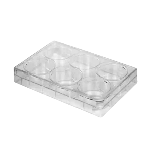Placa Para Cultivo De Células 6 Poços Fundo Chato