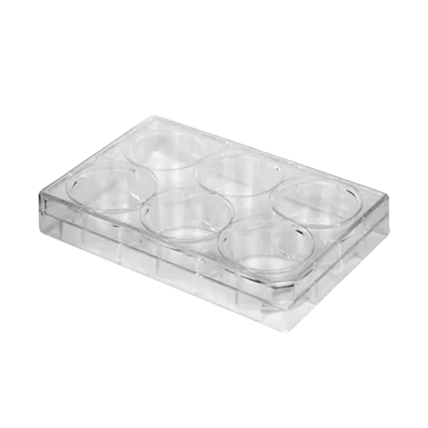 Placa Para Cultivo De Células 6 Poços Fundo Chato